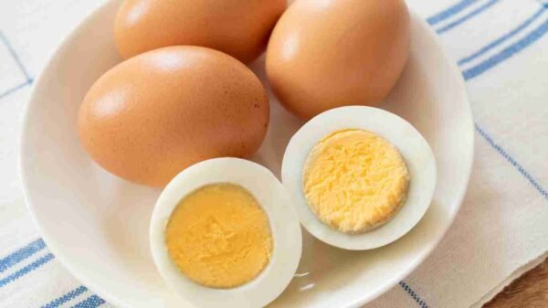 Telur rebus